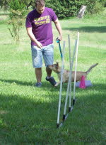 11102643_678834375576580_8605107034511885356_n